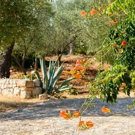 Trullo Punte Di Achille * Ceglie Messapica